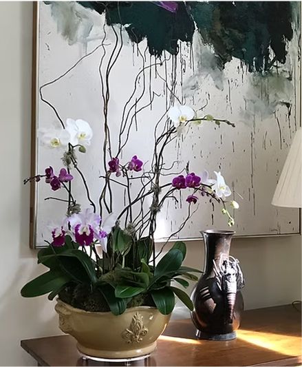 Interior Plant Installation & Maintenance Image