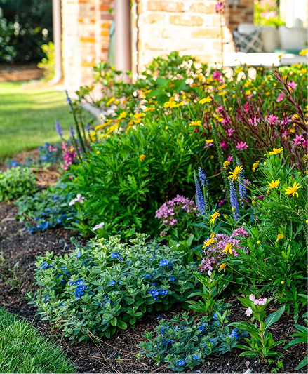 Seasonal Color Installation & Maintenance Image